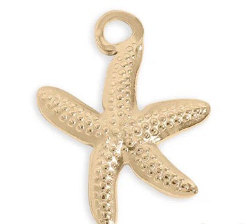 DIJES ESTRELLA DE MAR