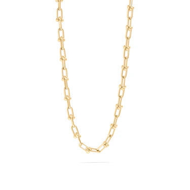 Collar Link Chain – By Amiris