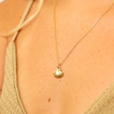 DIJES DE CONCHA